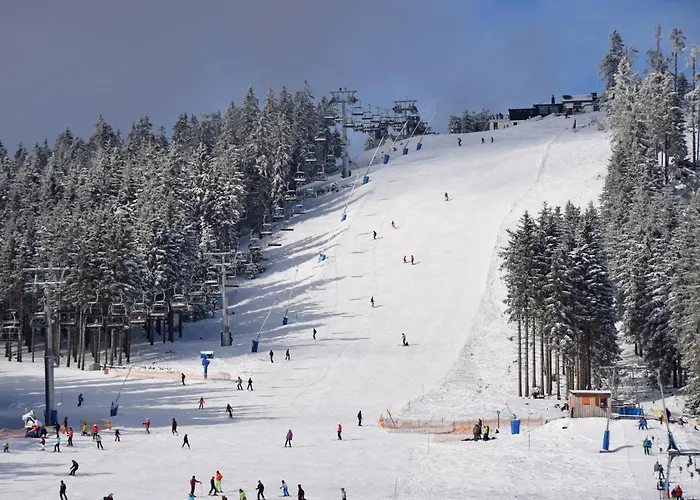 بيت للعطل Diemelblick 14 Mit Seeblick Und Sauna Am Fuer Bis Zu 6 Gaeste Diemelsee